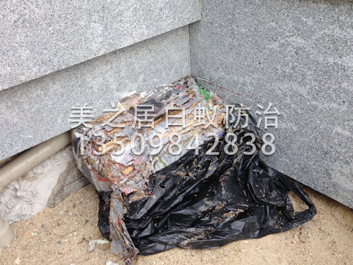 白蚁防治技术