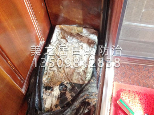 白蚁灭治