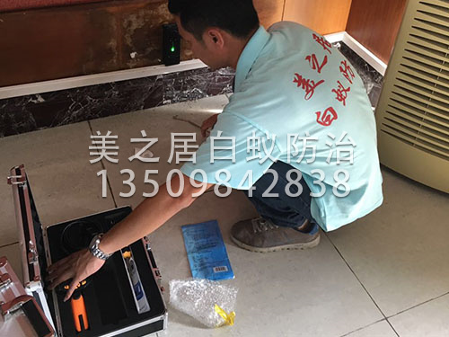 东莞高科技白蚁探测