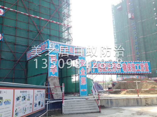 东莞工地白蚁预防