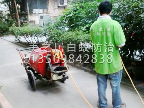 东莞杀虫
