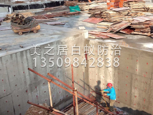 东莞土建白蚁防治