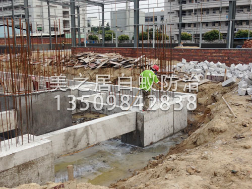 东莞土建白蚁预防
