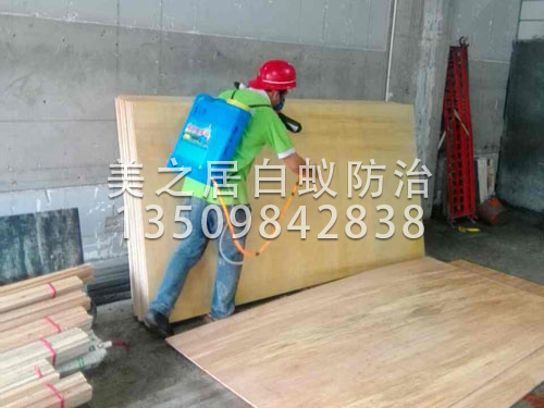 东莞装修白蚁预防
