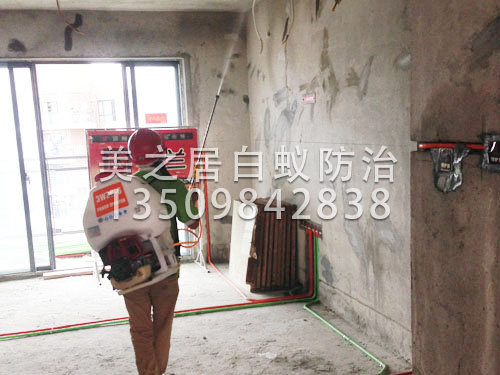 房屋装修白蚁预防