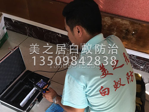 高科技白蚁探测