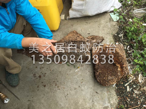 花园小区绿化杀虫灭鼠方法处理