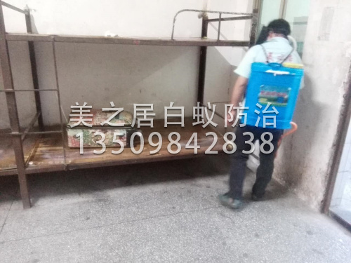 工厂宿舍内杀虫灭蚊