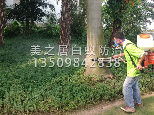 绿化杀虫