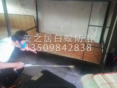 杀虫灭鼠