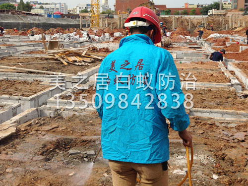 土建白蚁预防