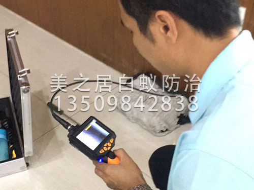 专业高科技白蚁探测