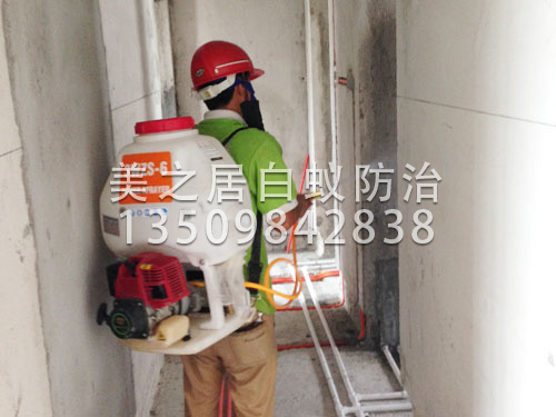 装修白蚁预防