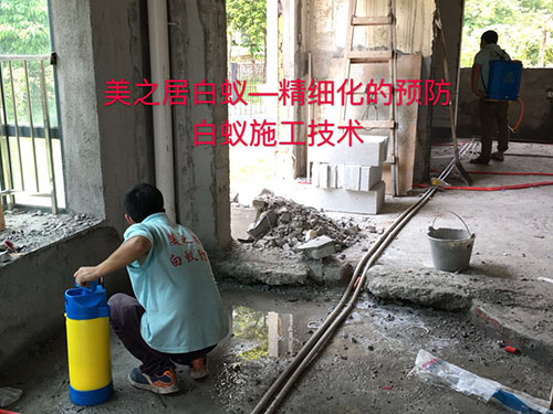 白蚁灭治