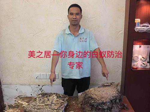 白蚁巢