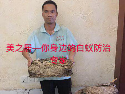 白蚁灭巢技术