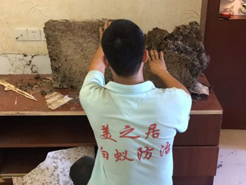 白蚁灭巢