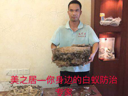 白蚁灭巢