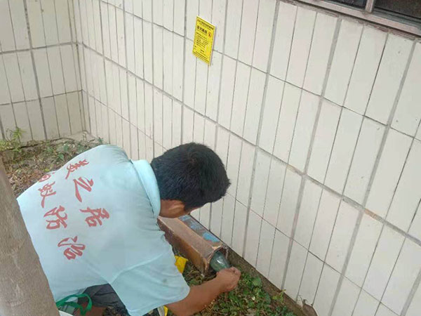 杀虫案例