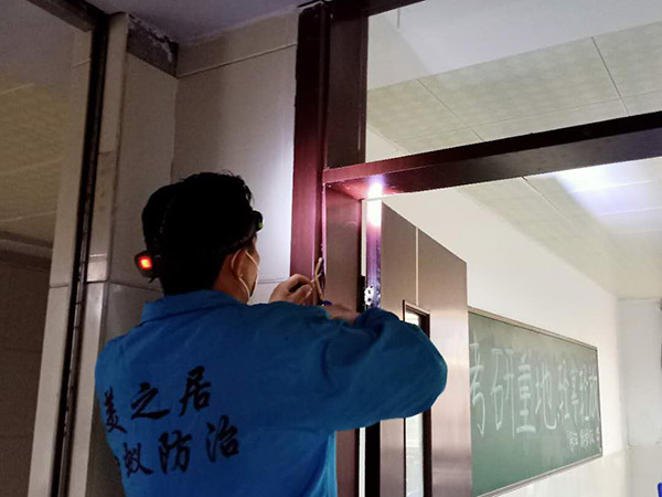 东莞杀虫案例