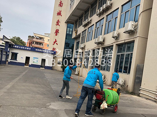 东莞杀虫灭鼠