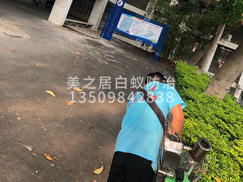 广州杀虫灭鼠服务