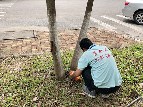 南方医科大学白蚁灭治案例
