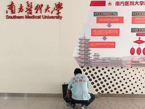专业白蚁防治灭治